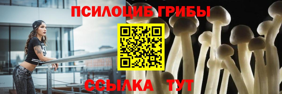 Галлюциногенные грибы MAGIC MUSHROOMS  Галлюциногенные грибы GOLDEN TEACHER  Киржач  Вход с VPN 